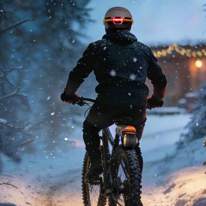 Anniversary Smart Commuter Pack